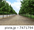 続く道 7471794