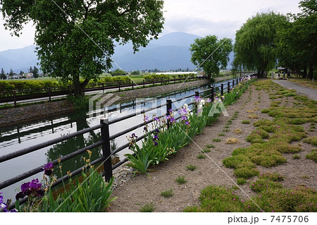 安曇野　拾ヶ堰 7475706