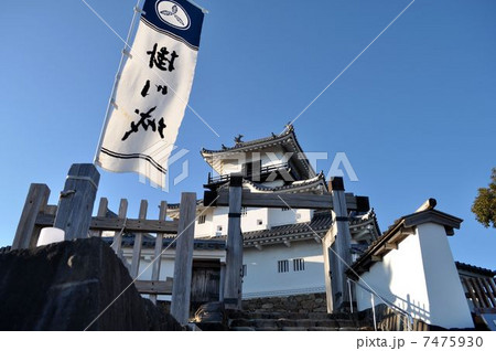 掛川城 天守 掛川城 天守 7475930