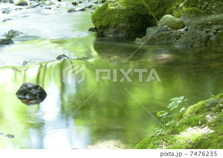 透明感のある水と緑の葉っぱイメージの写真素材