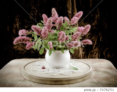 Spiraea flower bouquet Spiraea flower bouquet 7476251