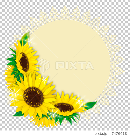 向日葵_種族_ 01 7476418