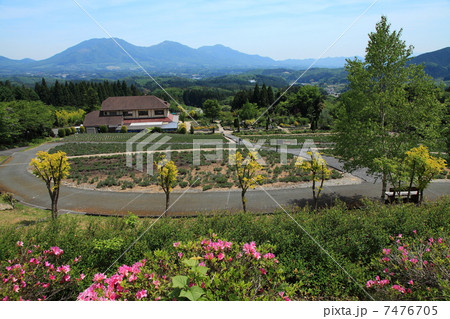 初夏の蒜山ハーブガーデン 7476705