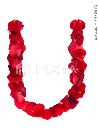 Letter U made of roses petals Letter U made of roses petals 7476871