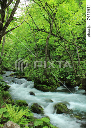 奥入瀬渓流 石ヶ戸の瀬 奥入瀬渓流 石ヶ戸の瀬 7476954