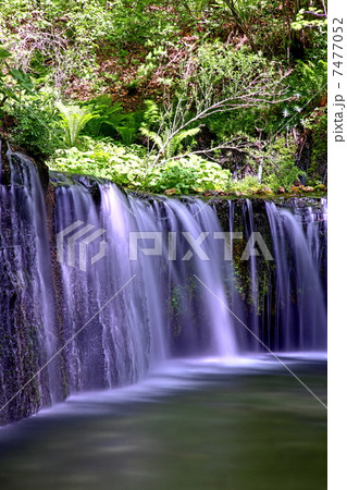 軽井沢・白糸の滝 軽井沢・白糸の滝 7477052