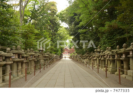 石清水八幡宮 7477335
