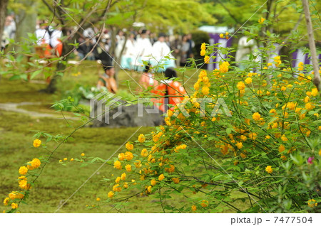京都 城南宮の春 京都 城南宮の春 7477504