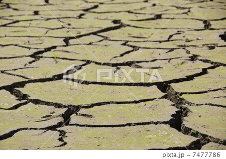 6月 大地・土16ひび割れ 6月 大地・土16ひび割れ 7477786
