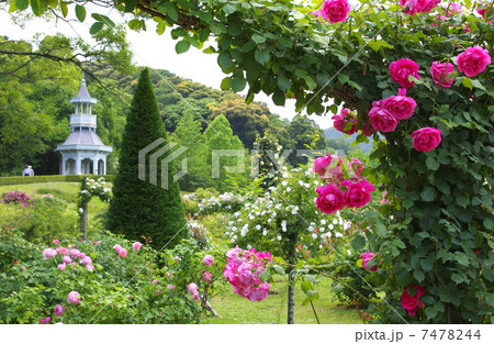 バガテル公園 7478244