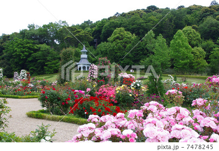 バガテル公園 7478245