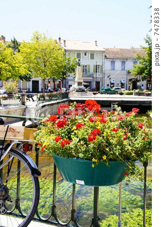 Flower Flower 7478338