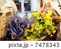 花 7478343