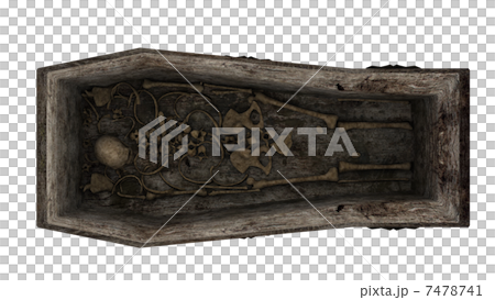 骸骨 7478741