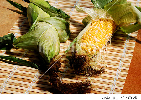 とうもろこし 7478809