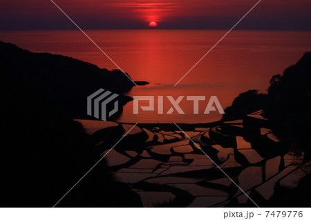 佐賀　浜野浦の棚田の夕日 7479776