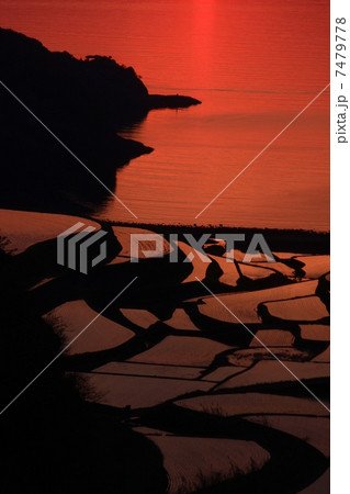 佐賀　浜野浦の棚田の夕日 7479778