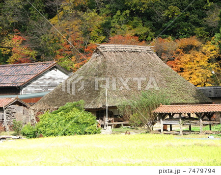 里の秋 7479794