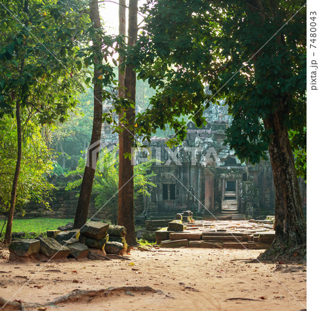Angkor Angkor 7480043