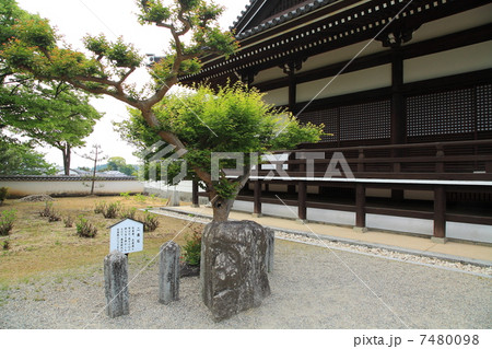 明日香橘寺 7480098