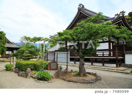 明日香橘寺 7480099