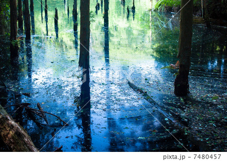 海上の森　大正池 7480457