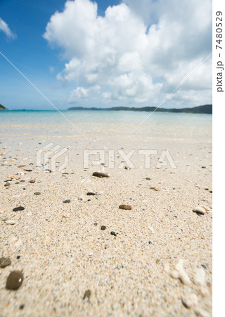 倉崎海岸@奄美大島 7480529