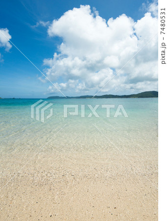 倉崎海岸@奄美大島 7480531