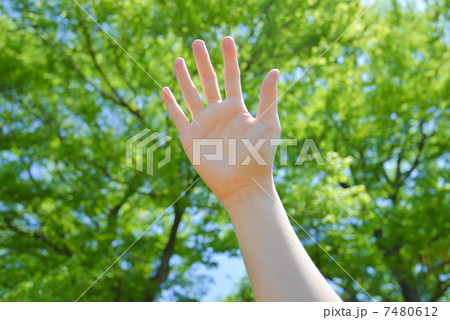 手を掲げる 7480612