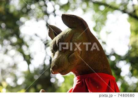 伏見稲荷神社 伏見稲荷神社 7480680