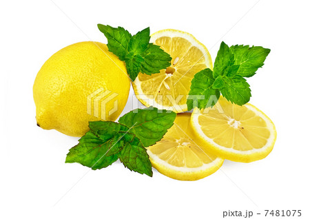 Yellow lemons with mint Yellow lemons with mint 7481075