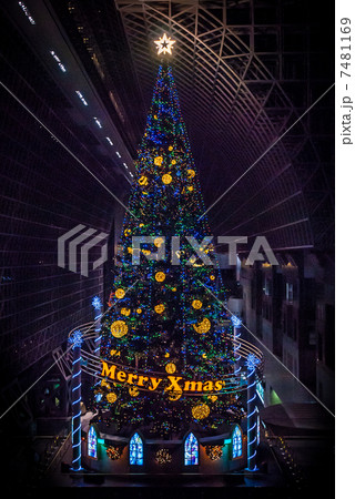 京都駅ビル クリスマスツリー 京都駅ビル クリスマスツリー 7481169