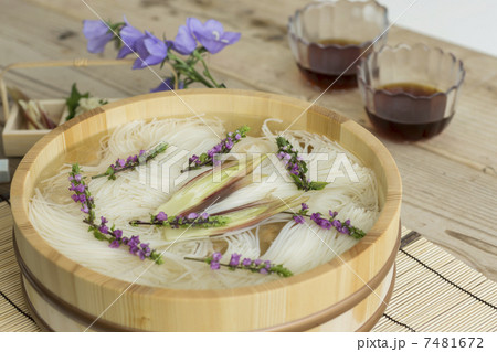 そうめん 7481672