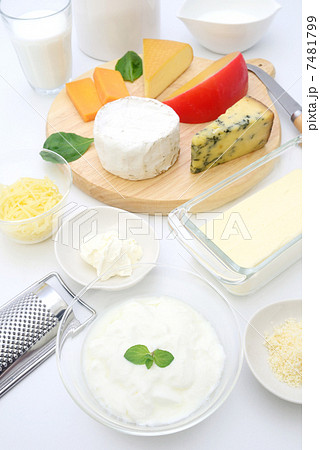 乳製品 7481799