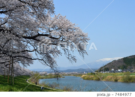 一目千本桜と蔵王連峰 一目千本桜と蔵王連峰 7484977