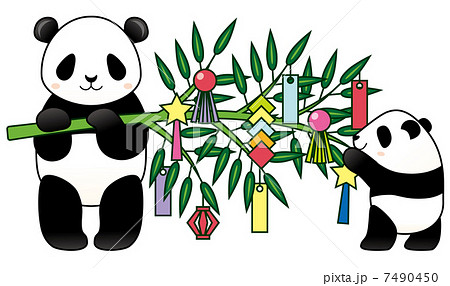 七夕の笹を飾るパンダ親子のイラスト素材
