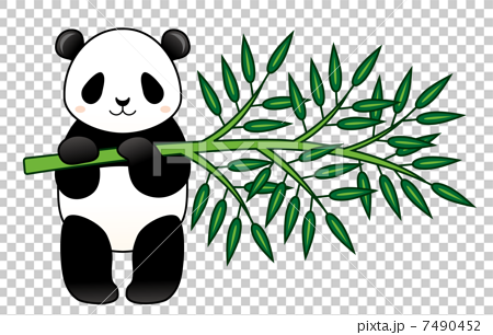 竹を持つパンダのイラスト素材