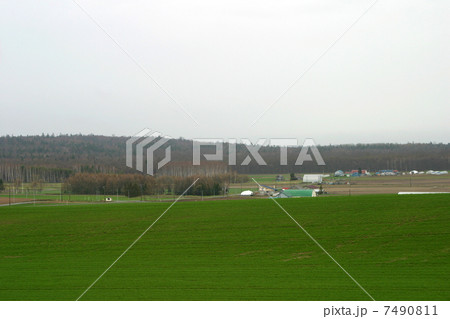 畑_農村 7490811
