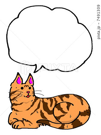 虎猫のメッセージカード 7491309
