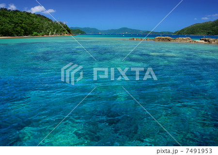 透明度の高い海 7491953