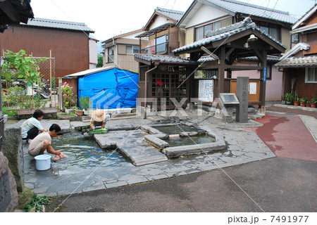 浜の川湧水 7491977