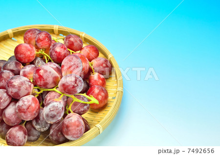 レッドグローブ 7492656