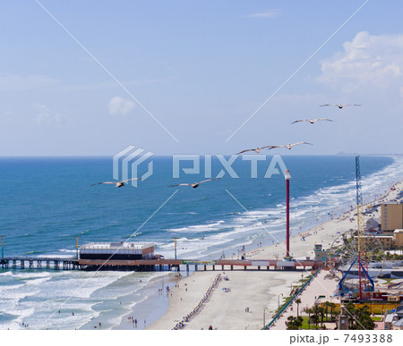 Ocean beach Ocean beach 7493388