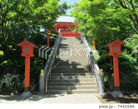 穴八幡神社　参道の階段 7493686