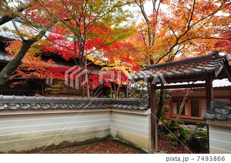 京都 勝持寺の紅葉 京都 勝持寺の紅葉 7493866