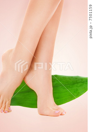 female legs with green leaf 7501159