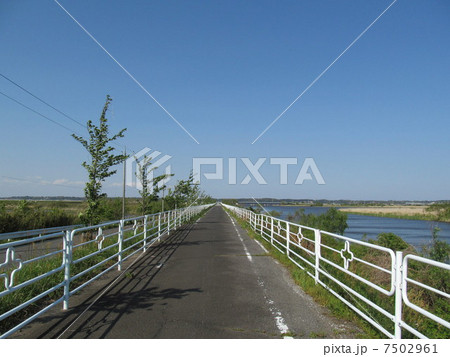 印旛沼沿いのサイクリングロードの写真素材