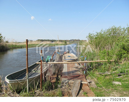 印旛沼　寂れた桟橋 7502970
