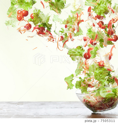 Flying salad 7505311