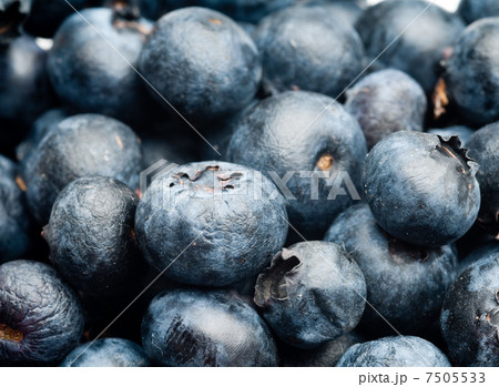 Blueberrys 7505533